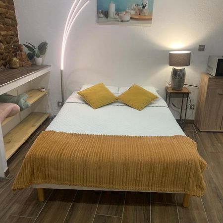 Studio 25M2 En Plein Coeur De Perpignan Exterior photo